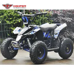 New Electric Mini ATV for Kids Quad Bike 800W/1000W /36V14ah