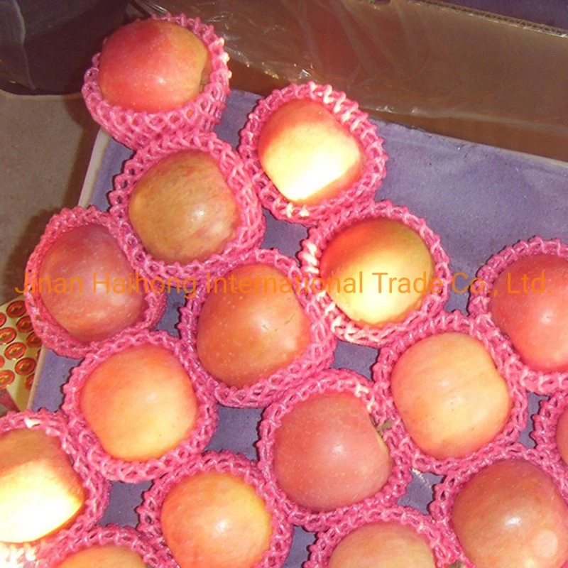 Imagens nítidas e Sweet Red FUJI Apple provenientes da China