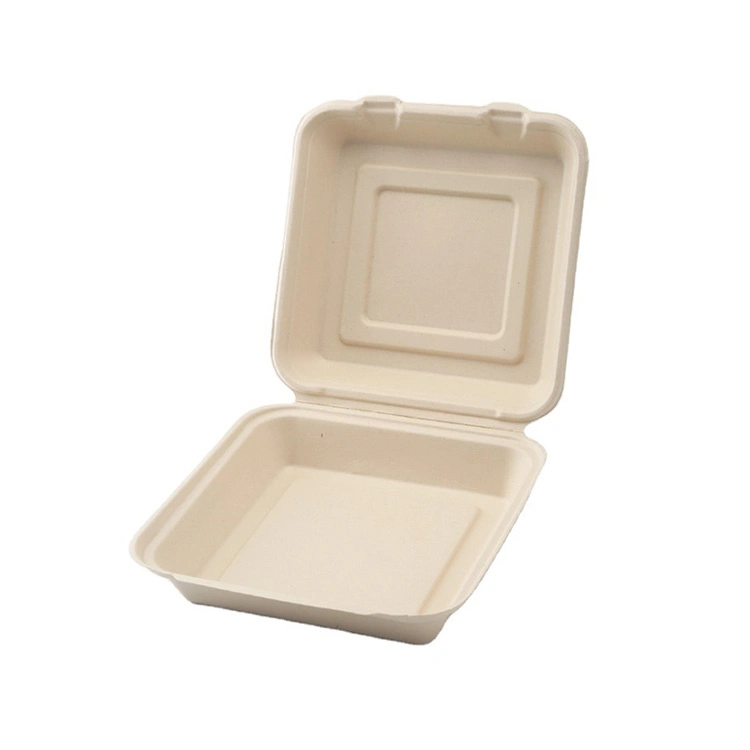 Eco Compostable Clamshell Take Away Food Containers 3 Compartment Disposable Biodegradable Lunchbox