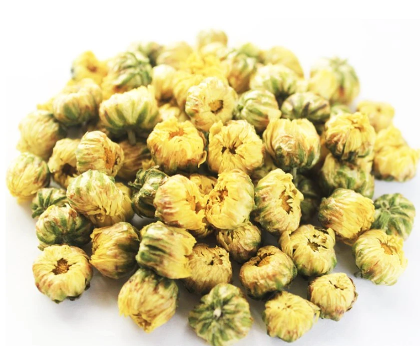 Großhandel/Lieferant Kräuter natürliche Chrysantheme Blume für Factory Outlet