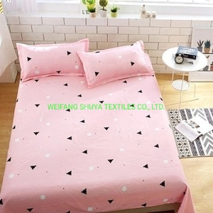 China 100% Polyester 3-Piece Sheet / Bedding / Microfiber