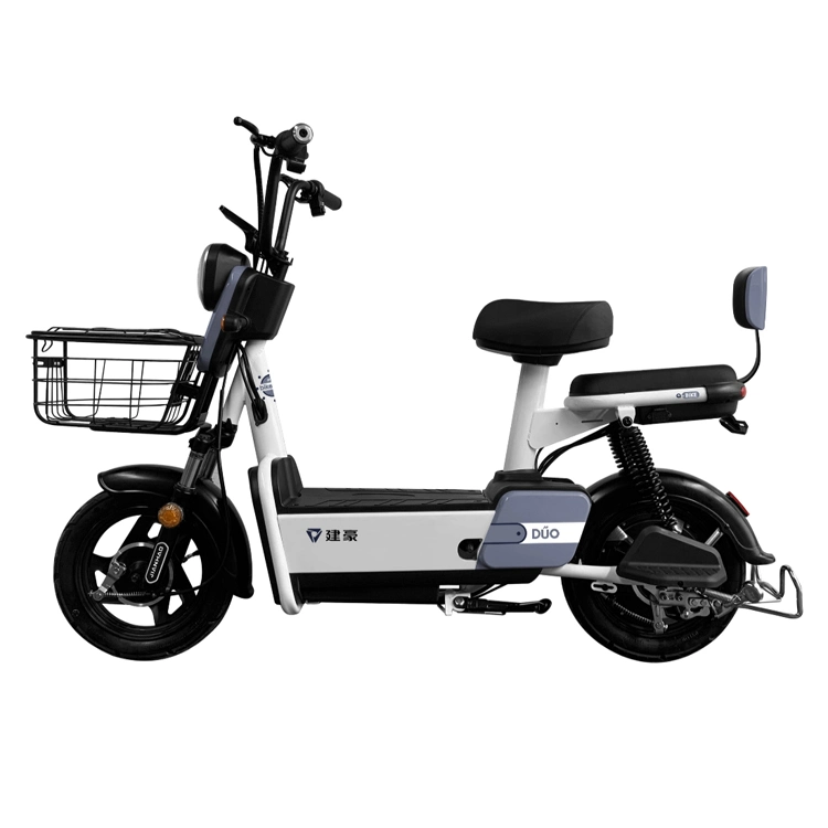 Vimode Cheap 250W 350W Adult off Road 2 Wheels Electric Bike From China