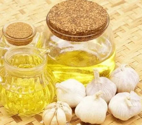 Natural Plant Extracted Sythetic Garlic Oil for Medicine