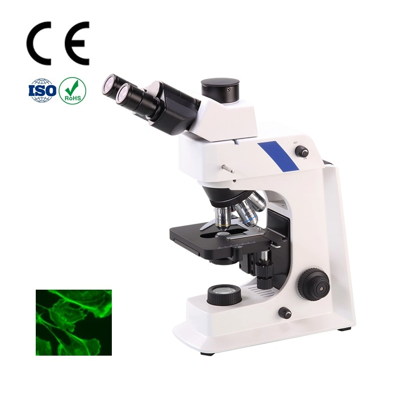 Olympus Triocular Contrast Fluorescence Video Biological Microscope Pictures & Photos