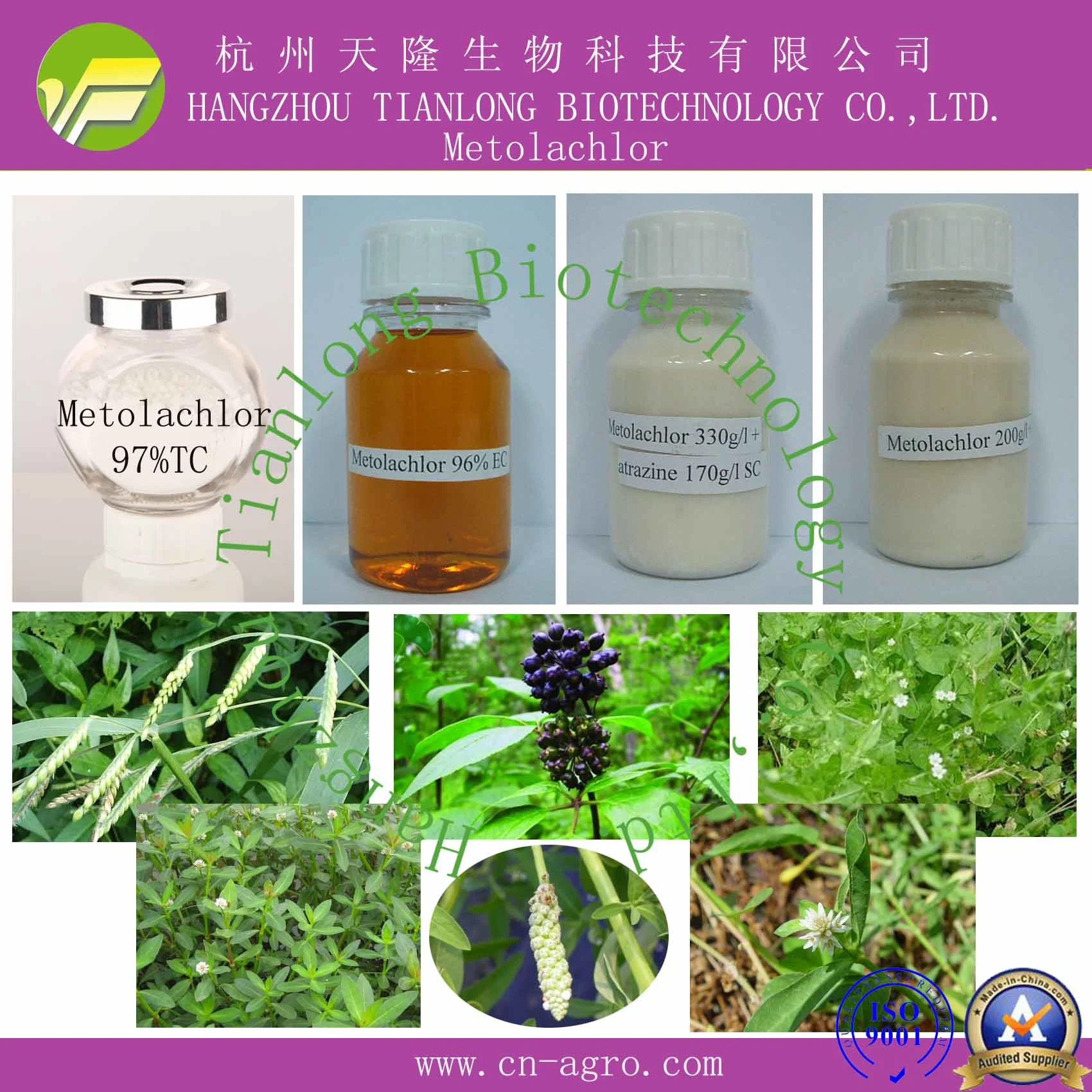 Metolachlor (96%TC, 960EC)-Herbicide