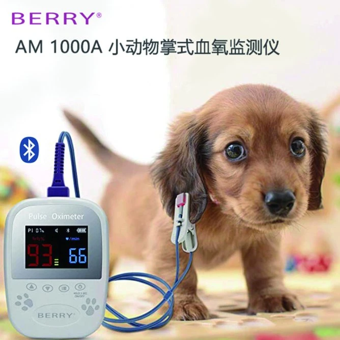 Berry LCD Display Portable Palm Veterinary Equipment with Bluetooth