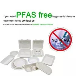 PfAs Gratis Bafasse de caña biodegradable compostable Sopa placas de papel desechables Platos de rozadura