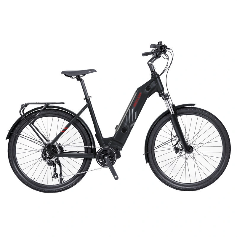 2023 Vélo électrique Bicystar le plus puissant 1500W Vélo électrique de ville à batterie lithium pas cher E-Bike