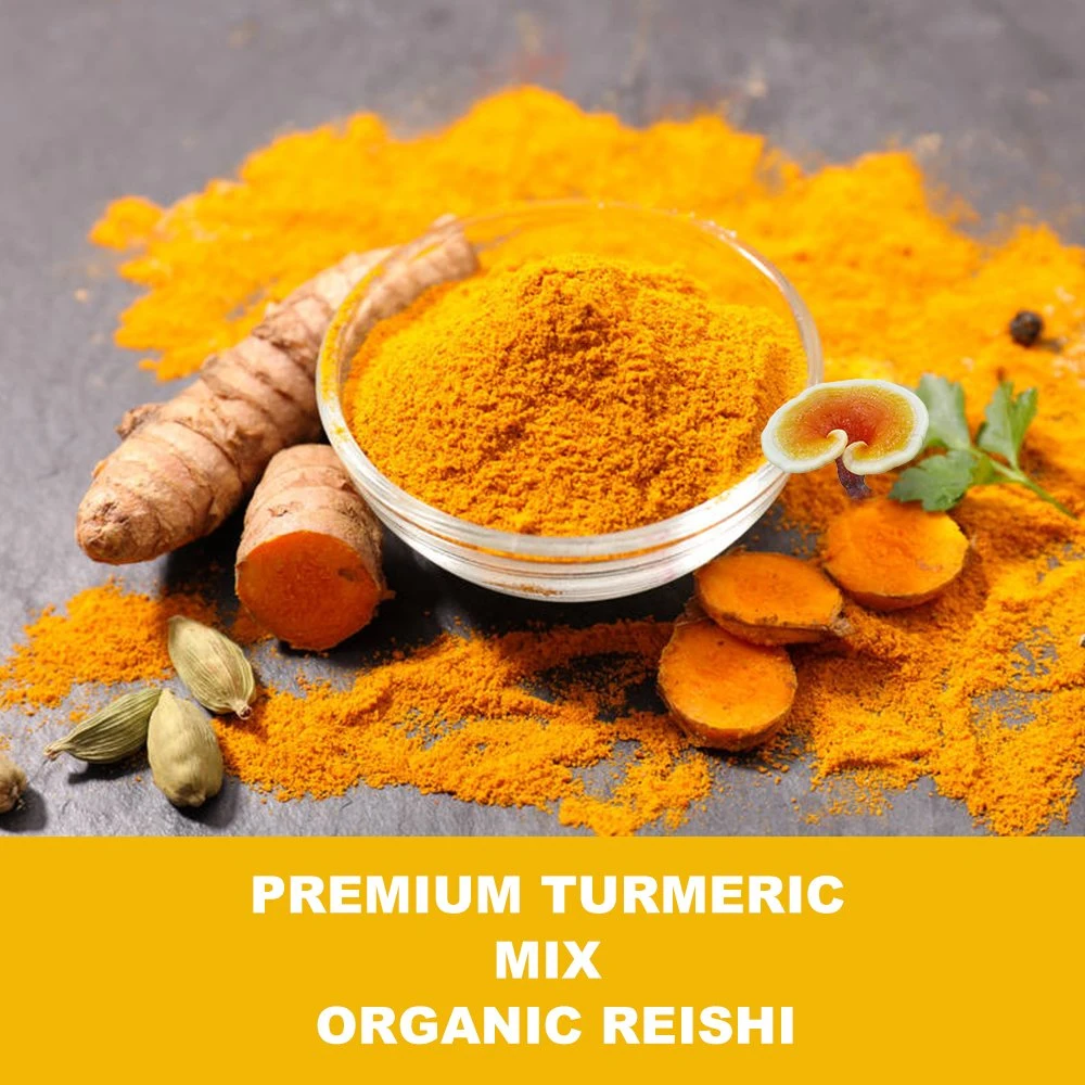 Herbal Supplements Curcumin Turmeric Extract for Support Joint and Healthy Inflammatory