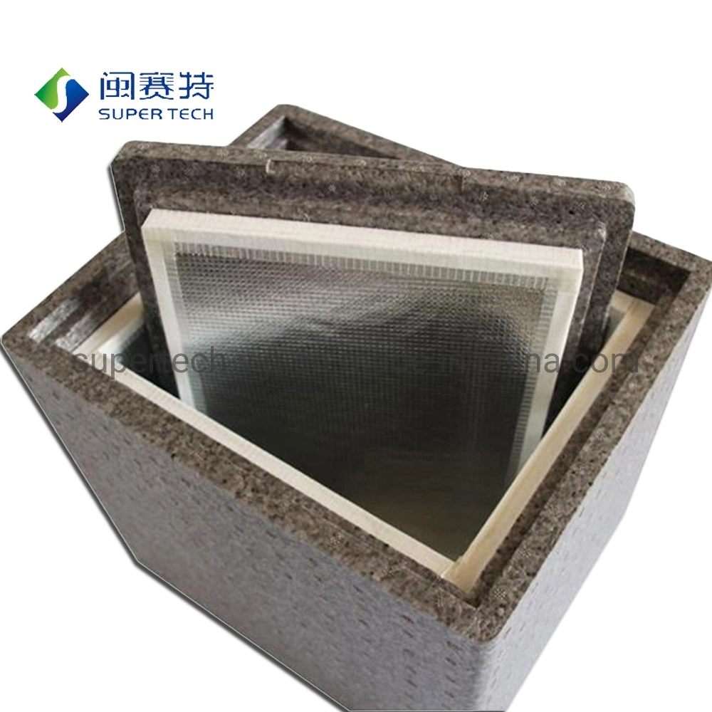 Durable Reusable EPP VIP Cooler Box for Pharmaceutical Temperature Controlled Packaging