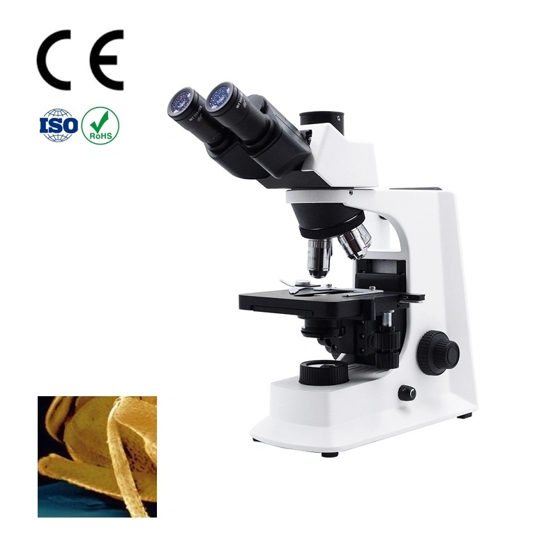 Microscopio Biológico trinocular con Plan 100X/1,25 (S, aceite) . W. D. =0,12mm Focus ajustable
