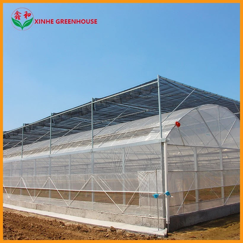 Multi-Span PE Film plástico Agricultural Greenhouse para la Agricultura