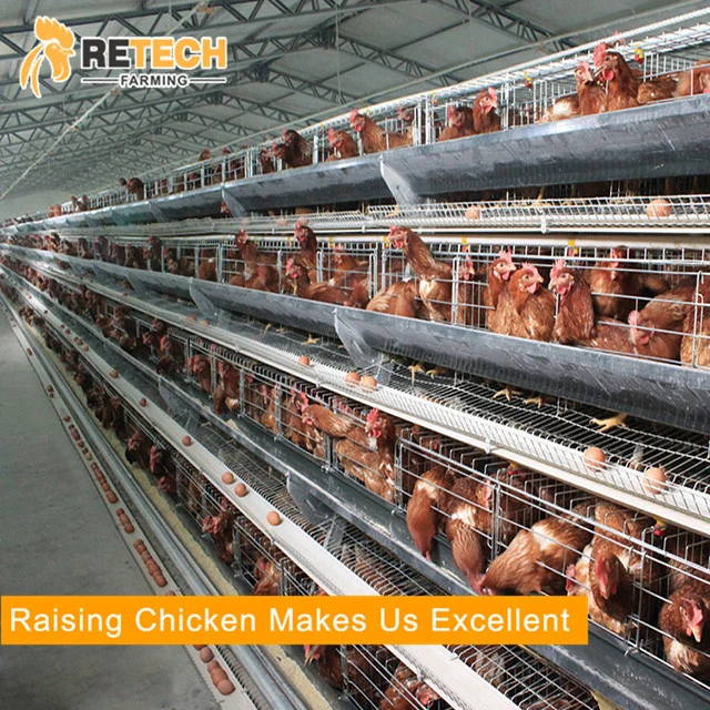 Poultry Farm Equipment Egg Layer Chicken Battery Cages for Sale