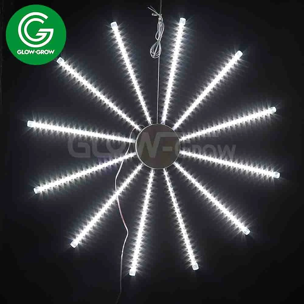 Usine extérieure de lumière de motif d'étoile polaire à LED pour les fêtes de Noël, Diwali, mariage, festival à domicile, Ramadan, décoration du Nouvel An.