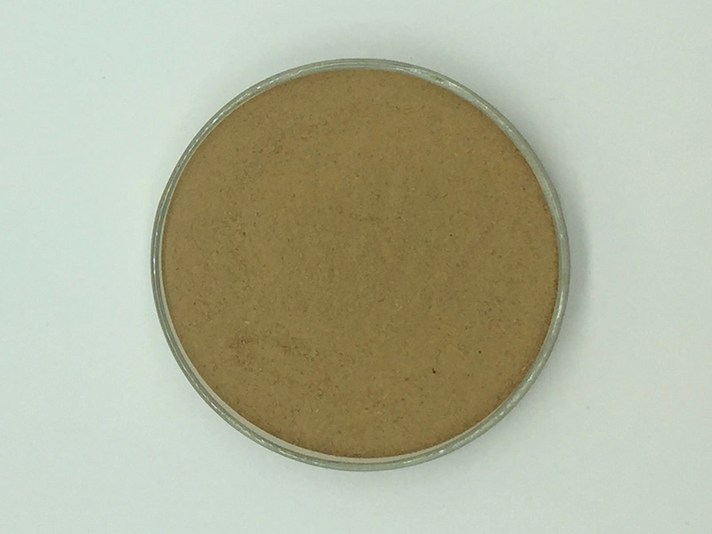 Hot Sell Bacillus Subtilis Probiotic Powder