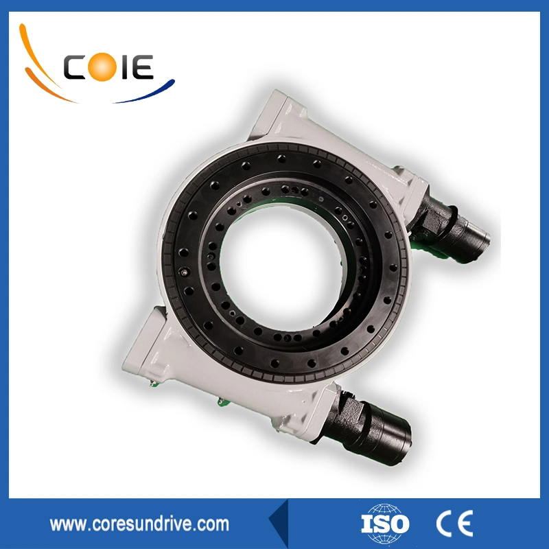 Dual Worm Slewing Drive with Hydraulic Motor for Construction Machine