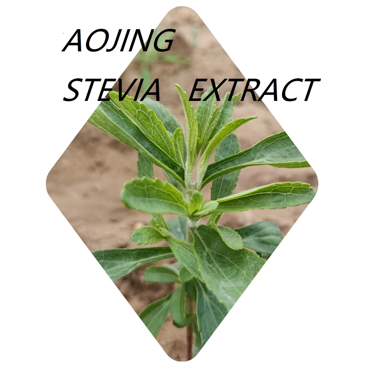 100% Natural Plant-Based Source Stevia Reb-A90% Food Additive Chemicals