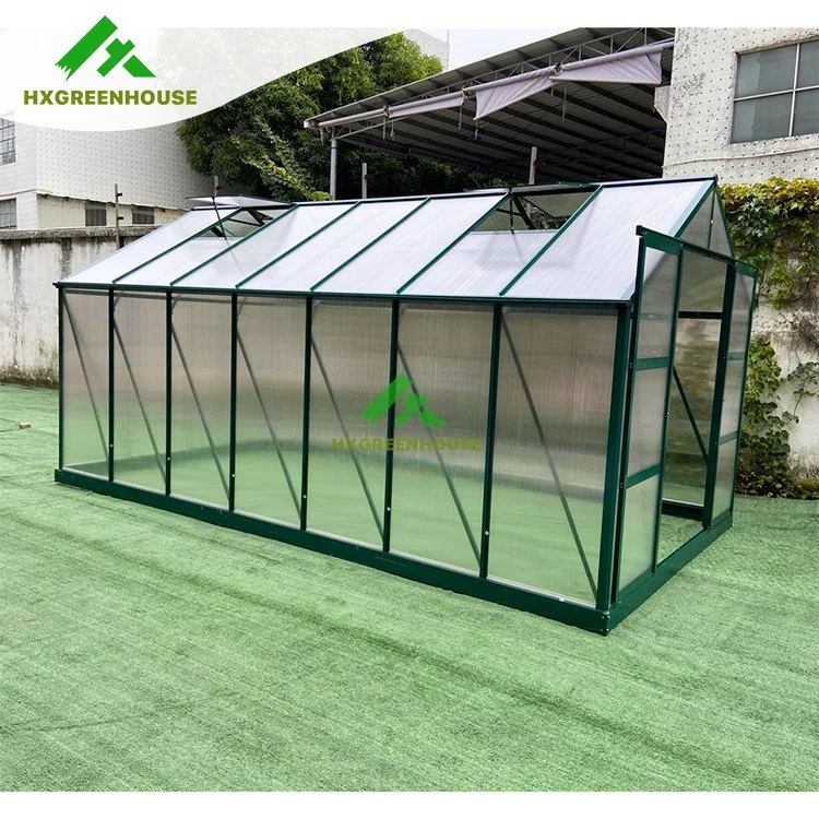 Melon Green House Plexiglass Set Retail Dutch Horticulture Venlo Greenhouse Used Grapes Greenhouse