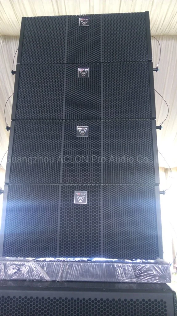 Aclon Dual 10inch Neodynium Plywood Speaker DSP Active Line Array (LAM210A)