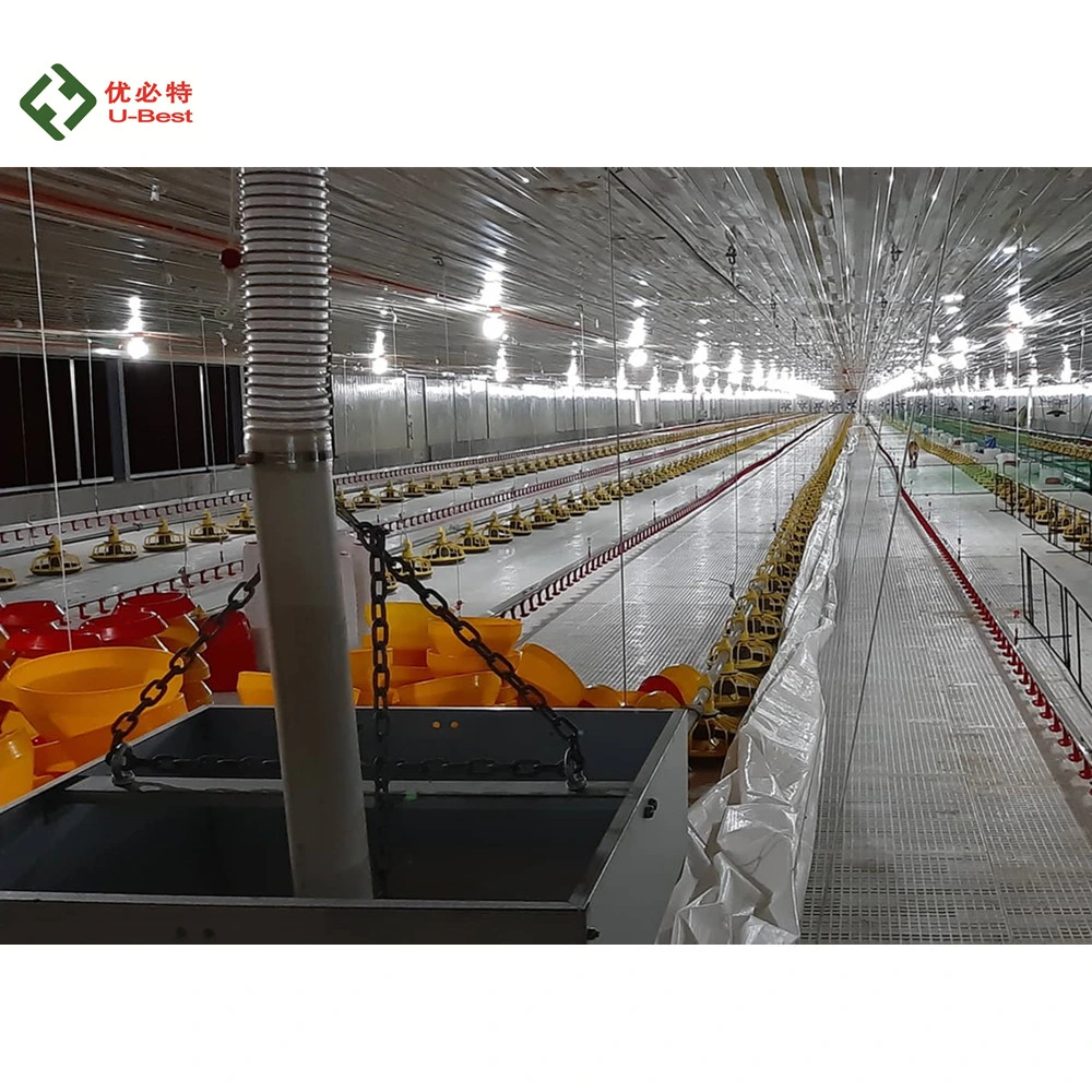 Full-Automatic Prefab Steel Poultry Farming Building for Broiler Breeder Chicken