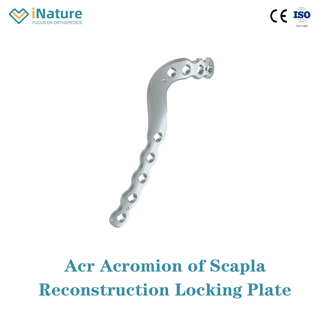 Équipement chirurgical système scapulaire acromion d'arc de verrouillage de reconstruction de Scapula Plaque