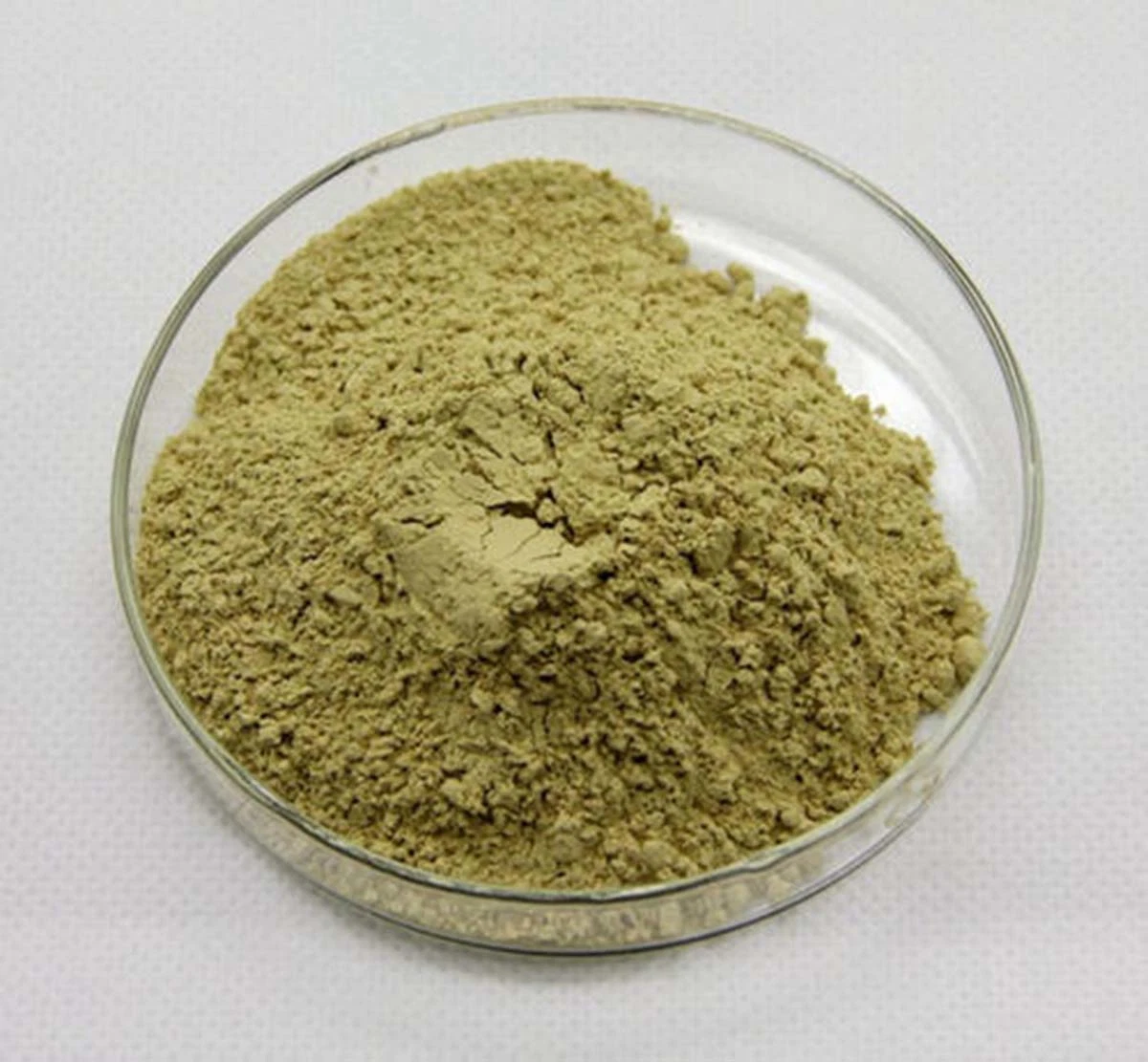 High quality/High cost performance  Kosher Halal Certificated Pharmaceutical Grade Natural Quercetin Powder Sophora Japonica Extract