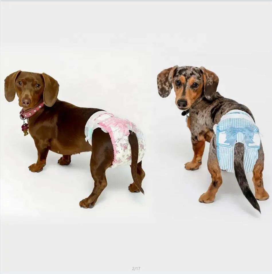 Einweg Windeln / Pads Hersteller in China Weibliche Haustier waschbaren Hund Windeln deckt physiologische Sanitary Dog Pants FDA/CE