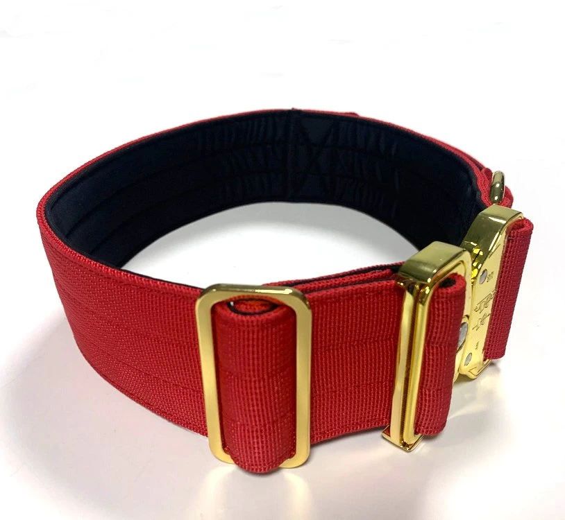 Heavy Duty Buckle Dog Collar with Handle Tactical Pet Collar