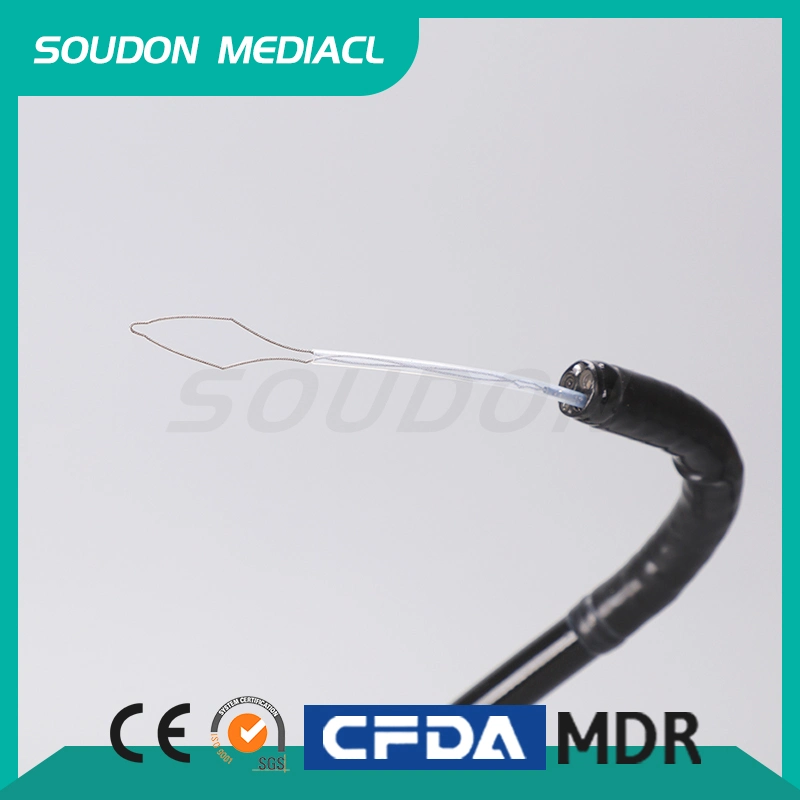 Medical Endoscopic Instruments Disposable Polypectomy Snare for Poly Retrieval with CE FDA ISO FSC