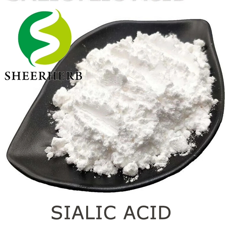 100% Pure Natural Bird's Nest Acid 98% Cubilose Sialic Acid Powder CAS 131-48-6 N-Acetylneuraminic Acid Powder