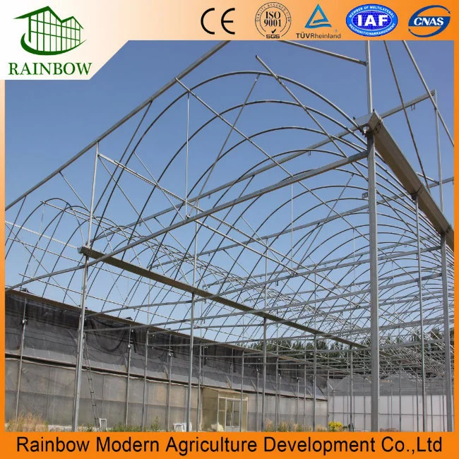 UV Resistant Multi Span Plastic Film Greenhouse for Vegetables Flowers