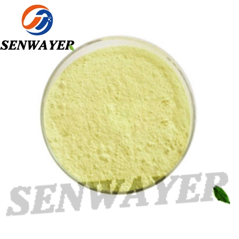 Factory Supply Corn Silk Extract with High Purity Best Price