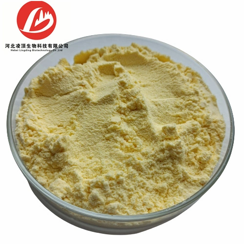 Natural Herbal Plant Extract Soy Isoflavone CAS 574-12-9// Genistein 446-72-0