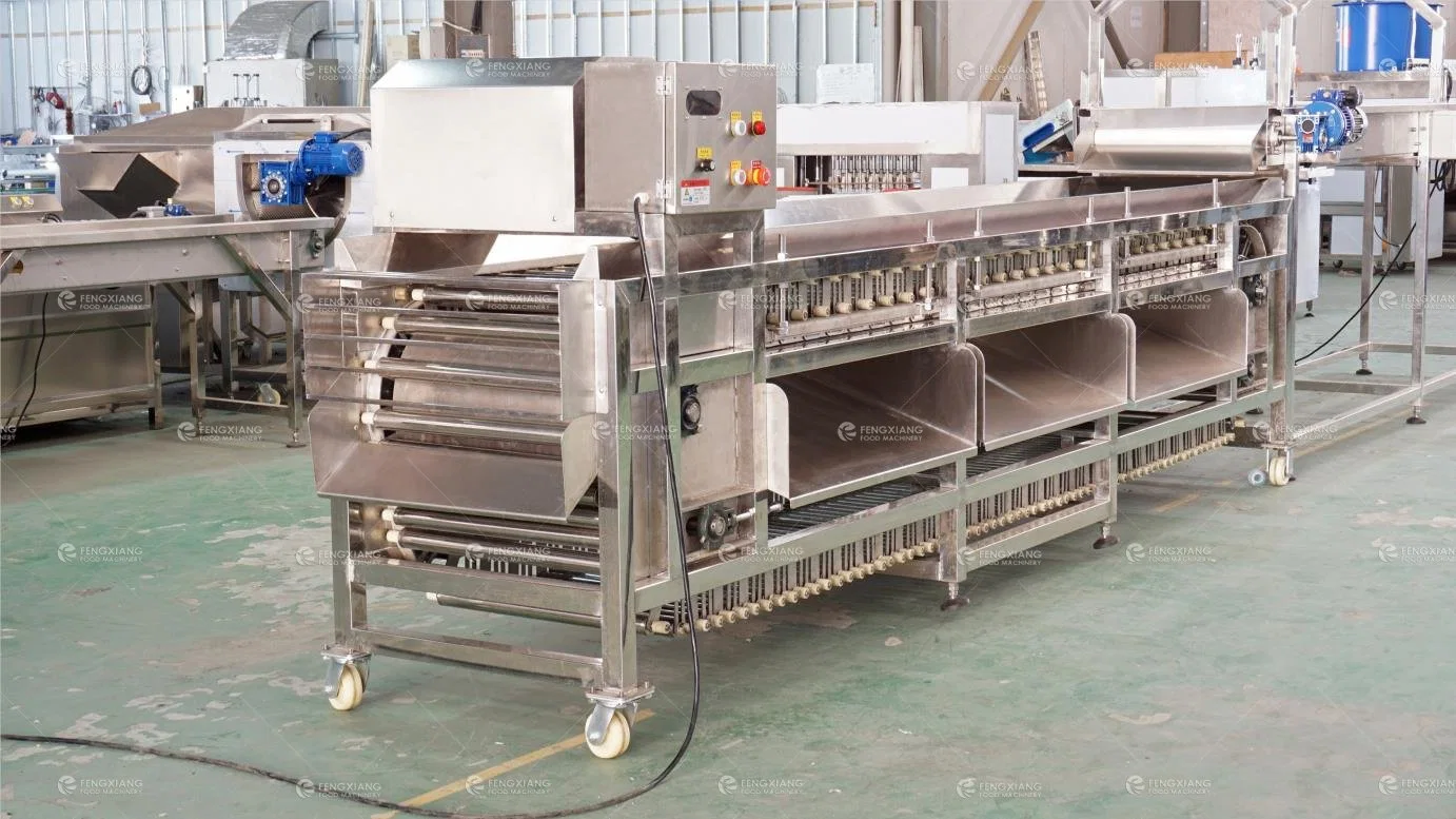 304 Stainless Steel Potato Onion Sorting Fruit Size Grading Machine