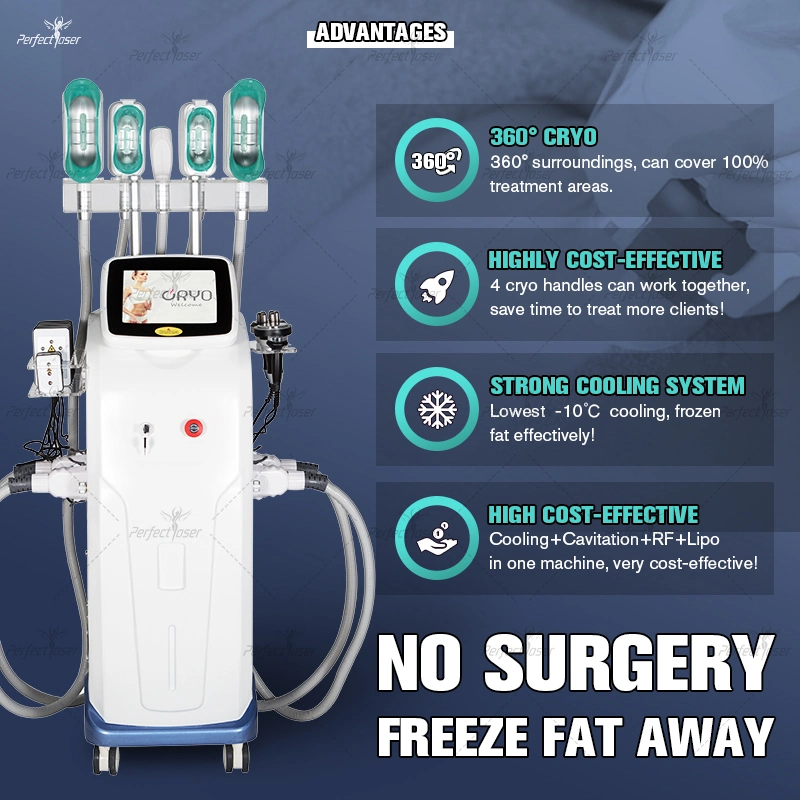 2023 Cryolipolysis 360 Fett Freeze Gewichtsverlust Beauty Salon Ausrüstung