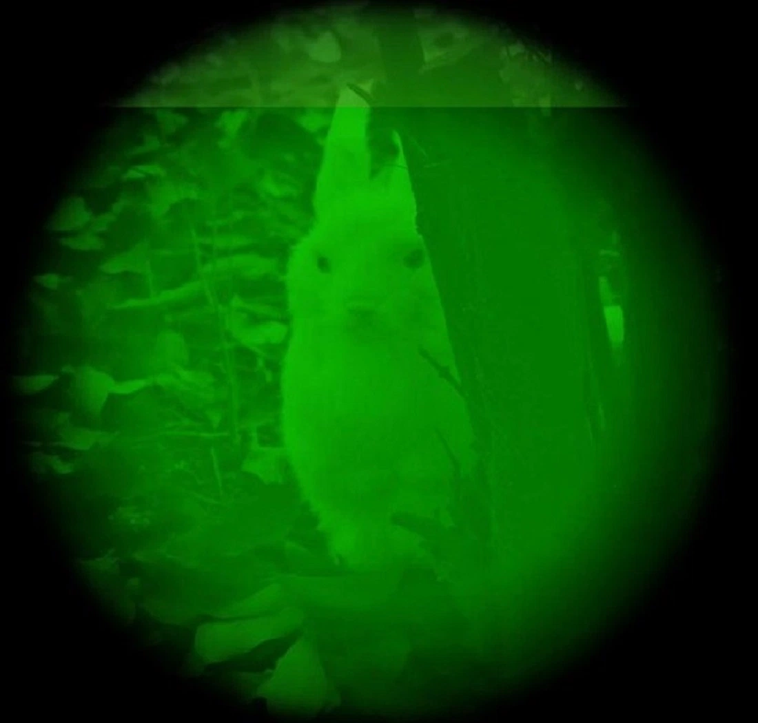 Imagen térmica de infrarrojos/Baja Light-Level fundido montados en el casco de visión nocturna con alcance