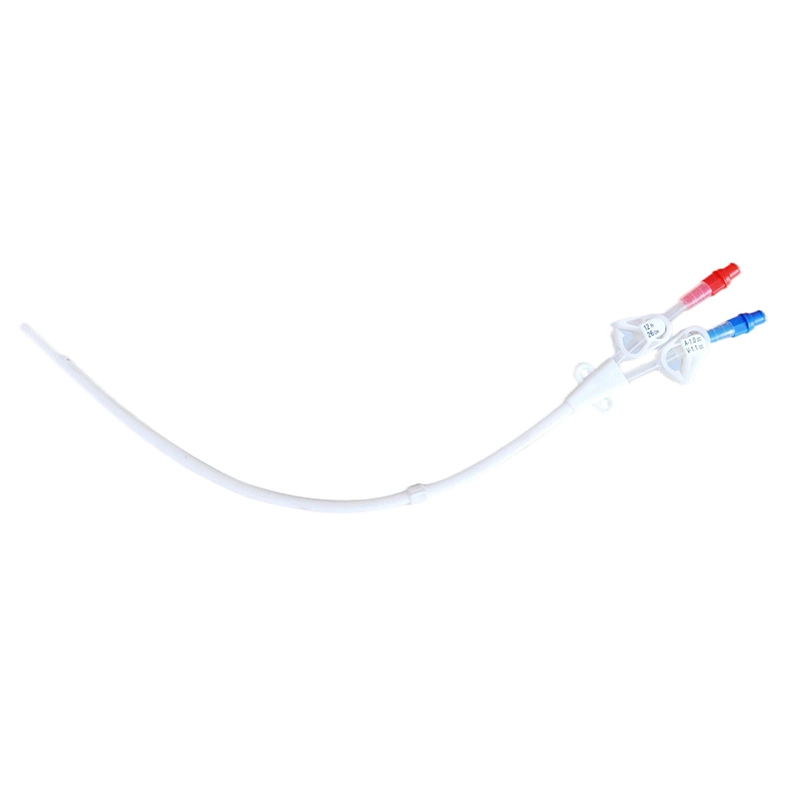 Disposable Medical Double Lumen Hemodialysis Catheter for Dialisys