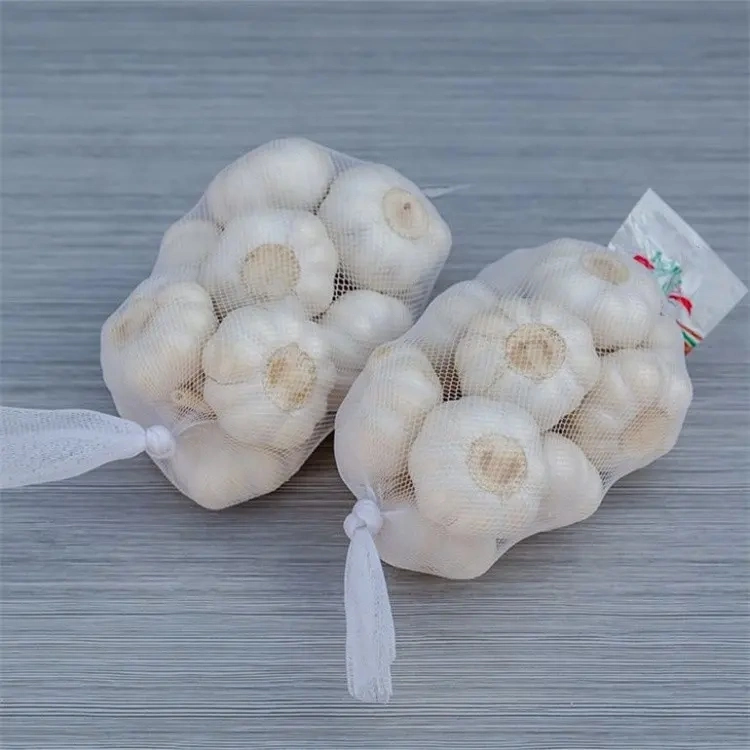 Top Quality Snow White Garlic 5.0/6.0cm China Fresh Garlic Export 2023