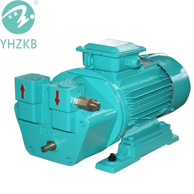 Sk-2 Liquid/Water Ring Vacuum Pump for Sterilization