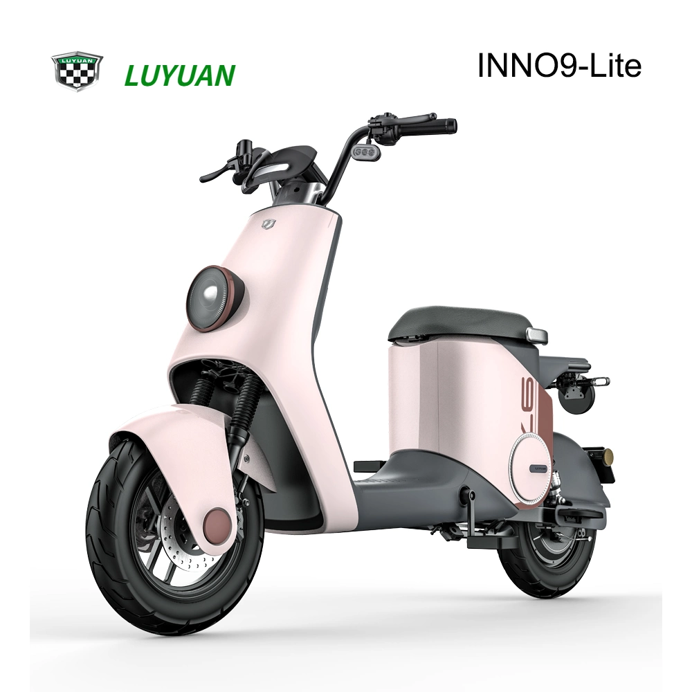 EEC Elektro Moped Elektro Fahrrad Inno9-Lite Lithium-Batterie
