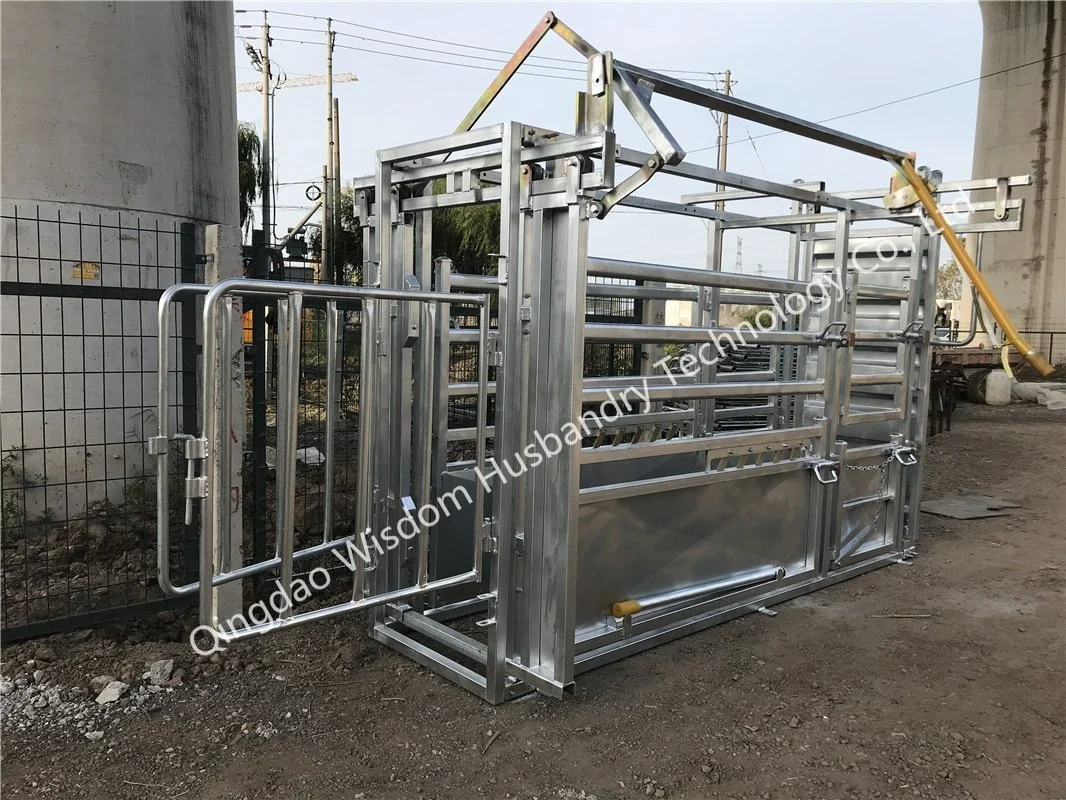 Australian Standard Verzinkte Rinder Crush Livestock Yard Viehhof Hersteller