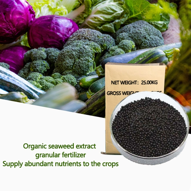 super seaweed extract natural red seaweed extract granular fertilizers fertilizers agricultural