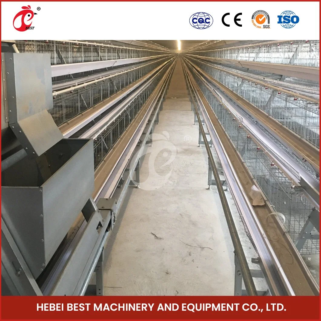 Bestchickencage a Type Chicken Pullet House Cage Breeder Cage China Brooder Chicken Huts Supplier OEM Customized Competitive Price Brooder Battery Cages