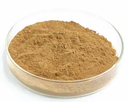 Extracto de semilla de lino de alta calidad 70% Flax lignans (SDG)