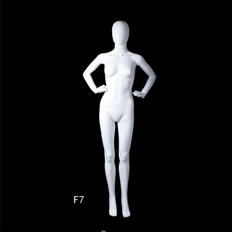 Wholesale Headless Female Woman Top Mannequin Display Head