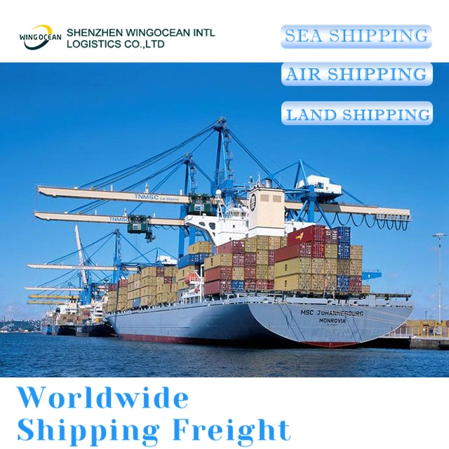 Melhor Serviço ao Cliente Shenzhen Logistics Companies Ocean Freight Shipping Agent Para EUA/Canadá/Europa