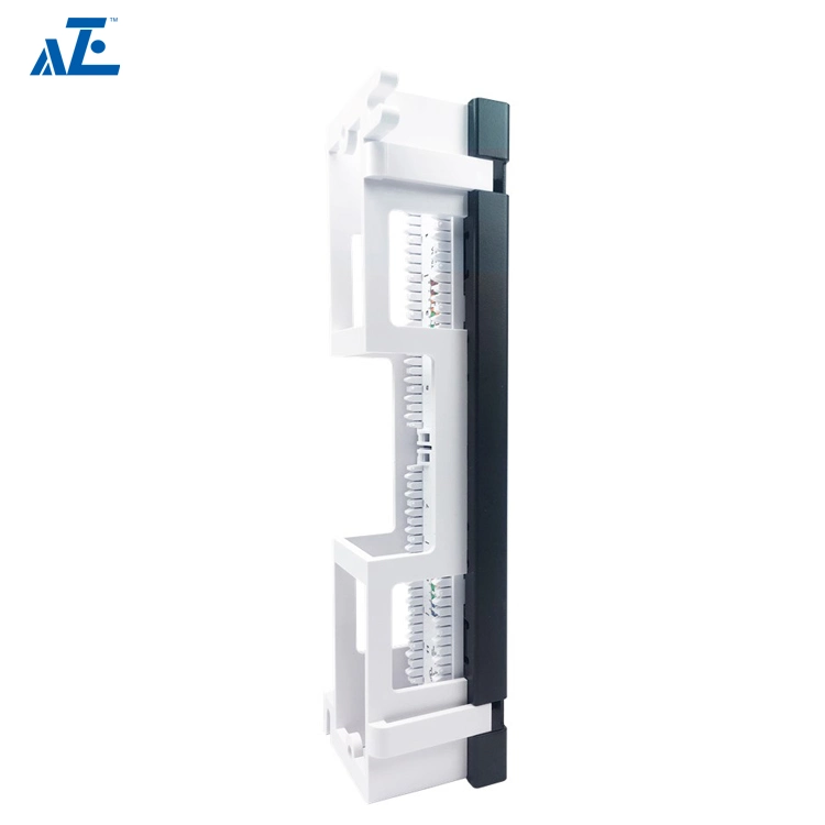 Aze 12 Port UTP 10 Inch CAT6 Network Surface Wallmount 1u Cable Management Structured Cabling Wall Mount Patch Panel Rack -C6panel12wm