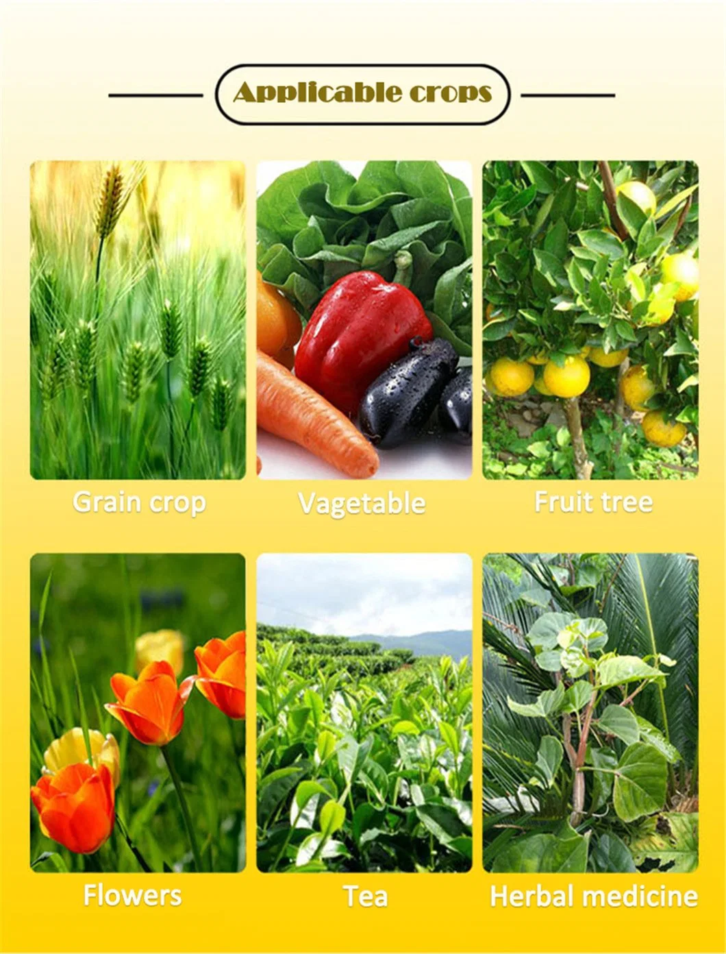 Agriculture Plant Grade 80% Amino Acid Agriculture Plant Trace Elements