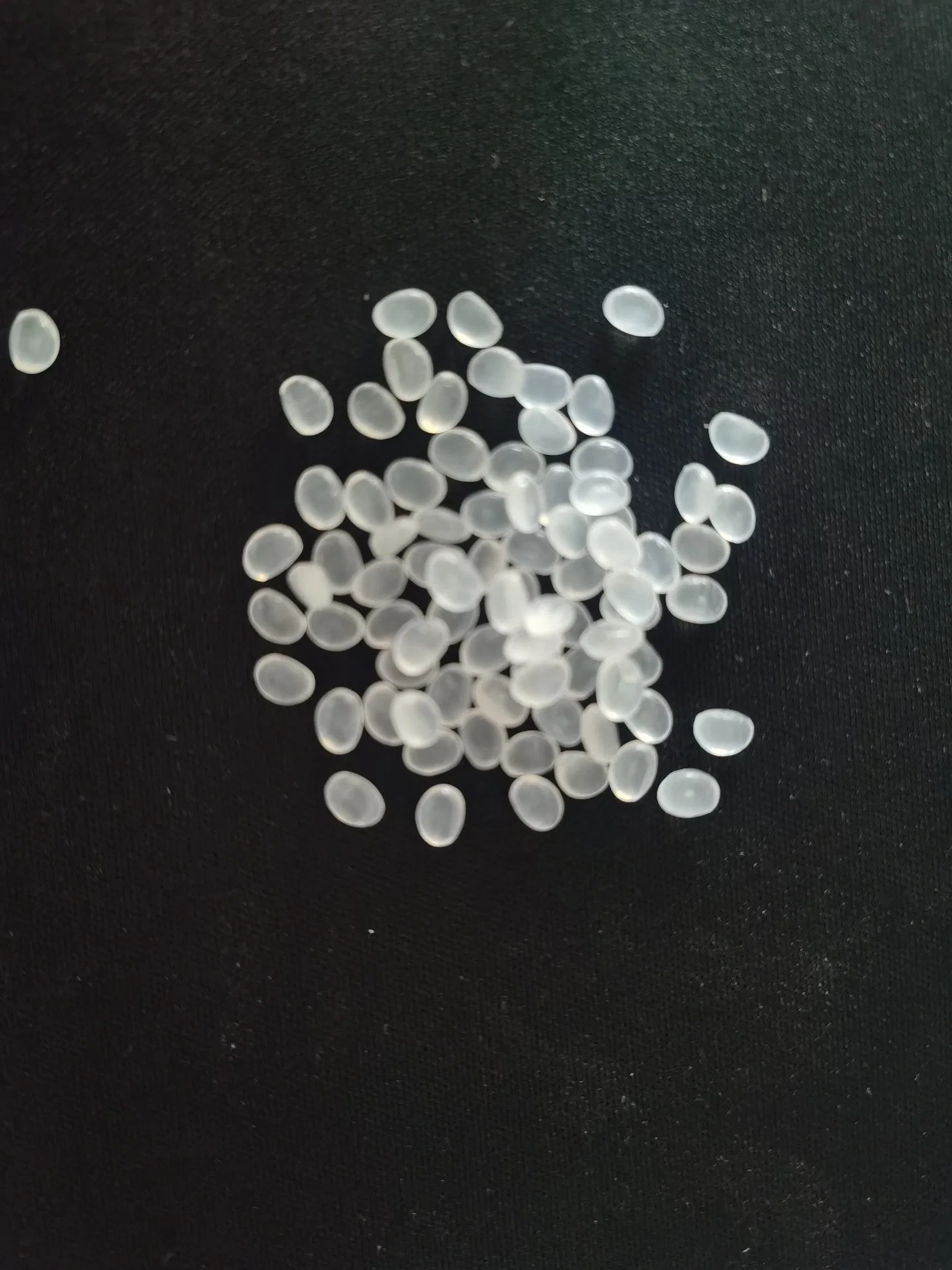 Factory Directly Sales High quality/High cost performance  Polypropylene PP Melt Blown Homopolymer Polypropylene