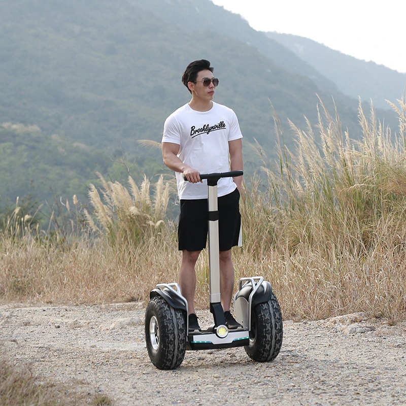 China Cheap Waterproof Standing Self Balancing E Scooter Electric Golf Scooter